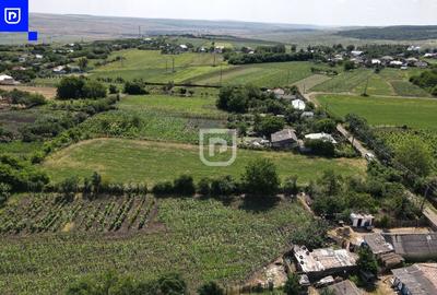 Teren Construcții intravilan de 3285 mp, în Ionășeni (Trușești) - 5