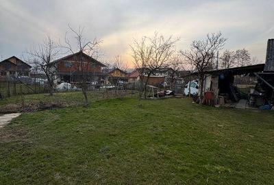 Casă cu 3 camere decomandat cu Teren 800 Mp în Satu Nou de Sus - 4