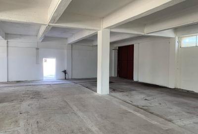 Spațiu industrial, de 1,700 mp, în Big-Bascov - 2