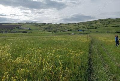 Teren de 1300 mp, în Chinteni - 2