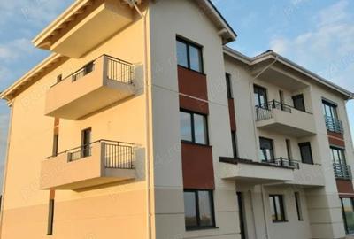 Apartament cu 2 camere decomandat în Dumbrăvița - 1