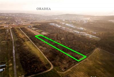 Teren în Săldăbagiu de Munte - 9