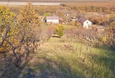 Cabana de vanzare, dealul viilor, Ineu - 5