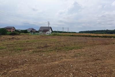 Spațiu comercial, în Izvorani - 3