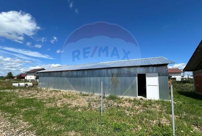 Casa 90m2 cu hala 120 m2 si 8 ari de teren de vanzare in ... - 26