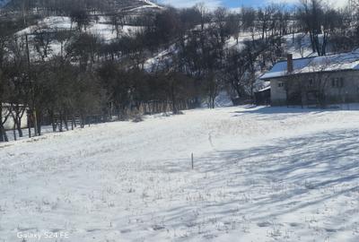 Teren Construcții intravilan de 3000 mp, în Gârcina - 2