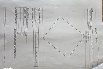 Teren de 1200 mp, în Lăpuș - 5