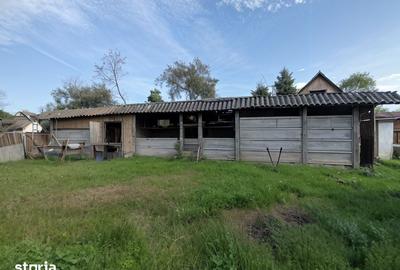 Casă cu 5 camere cu Teren 4122 Mp în Cociuba Mare - 10