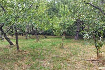 Casă cu 6 camere cu Teren 4500 Mp în Brebu - 2