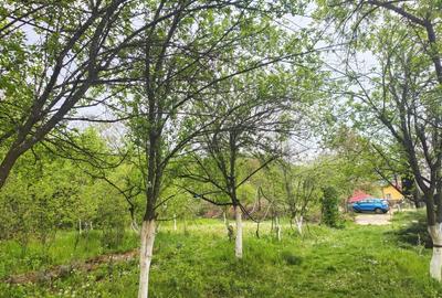 Teren intravilan 1253mp in CARBUNE?TI-PRAHOVA. Ideal casa de vacan?a! - 4