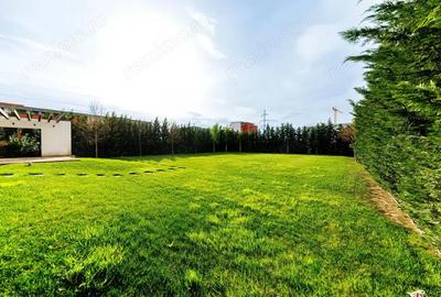 Teren intravilan zona Torontalului - 3