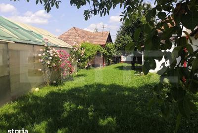 Casă cu 4 camere cu Teren 15277 Mp în Central - 13