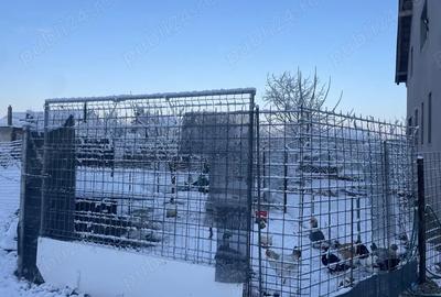 Vand casa in Oradea(1 2 duplex) - 9