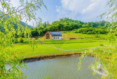 Casă individuală cu 8 camere cu Teren 6370 Mp în Groșii Țibleșului - 9