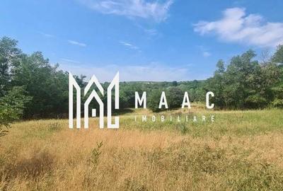 Teren Construcții de 12922 mp, în Loamneș - 2