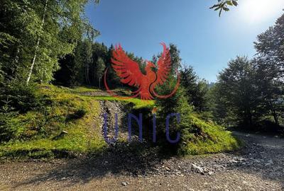 18000 mp de natura pura ,Lupeni, langa Straja 18000 mp de natura pura ,Lupeni, langa Straja - 10