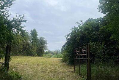 De vanzare teren intravilan, 2352 mp, Pachia, Covasna! - 3