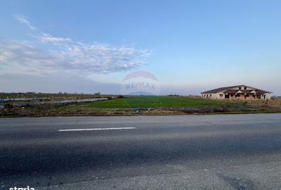 Teren de 12360 mp, în Vulturu - 1