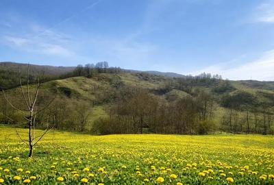 Teren intravilan de 2211 mp, în Sultanu - 1