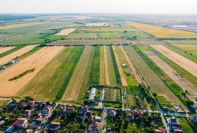 50 ha teren compact în Bujac - 2