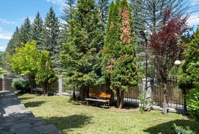 Oferta - vanzare pensiune 10 camere si casa de vacanta, Slanic Prahova - 31