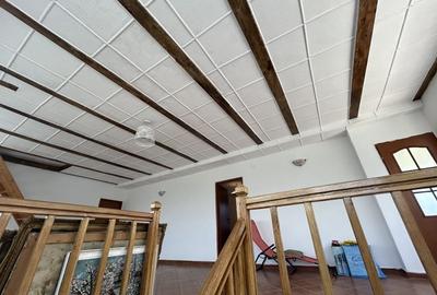 VAND O VILA IN PADUREA DIN FILIPESTI - 25