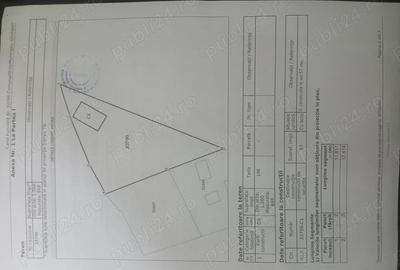 Casa de vanzare copaciu Giurgiu - 4