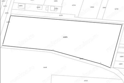 Teren de 10000 mp, în Brănești - 5