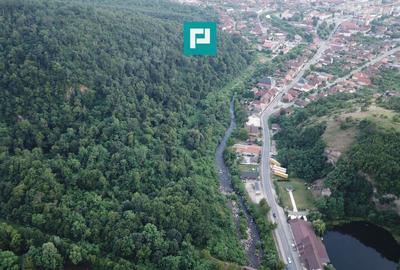Teren Construcții intravilan de 13861 mp, în Est - 27
