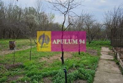 GIURGIU - COM. BUCSANI (SAT OBEDENI) CASA 2 CAM DE VANZARE - 18