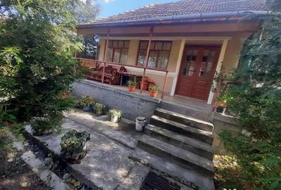Casă cu 2 camere cu Teren 2000 Mp în Arduzel - 7