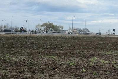 Teren la intrare in Biharia - 3