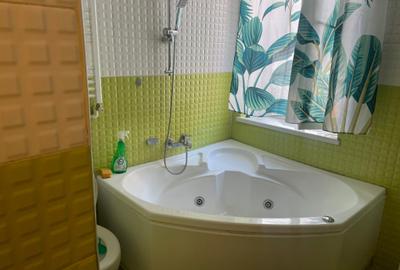 Casă individuală cu 2 camere cu Canalizare în Parcul Carol - 8