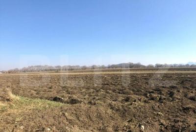 Teren intravilan 10000mp, Bod - 1