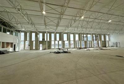 Spațiu industrial, de 1,000 mp, în Prelungirea Ghencea - 3