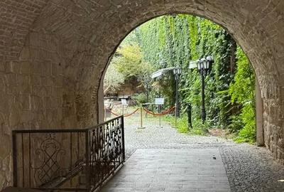 Spatiu Comercial 170 mp, Zona Utracentral - 1