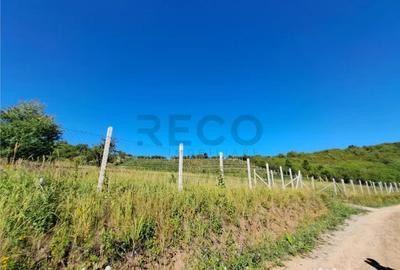 Teren de 9461 mp, în Podgoria - 2