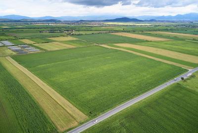 Teren Construcții intravilan de 59600 mp, în Feldioara