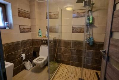 Casa de vanzare spre Vetis, drum principal - 9