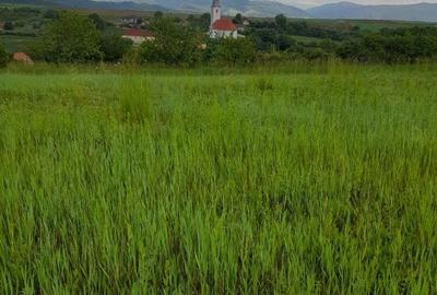 Teren de 34422 mp, în Bădeni - 4