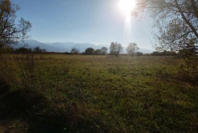 Teren în Ileni - 4