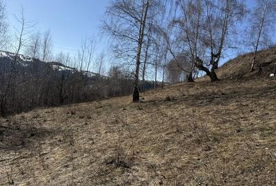 Spațiu comercial, în Mărișel - 8