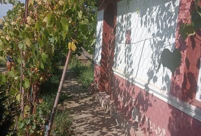Casa Ciulnita Slobozia Ialomita - 8