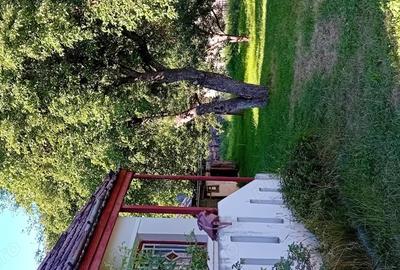 Casa ieftina la munte,Balan, Harghita toate utilitatile - 3