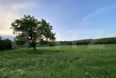 Teren de 21450 mp, în Turda - 1