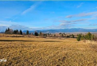 Spațiu comercial, în Gălăuțaș - 2