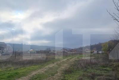 Teren intravilan de 2.000 mp, front 18 metri, Leamna de Jos - 3