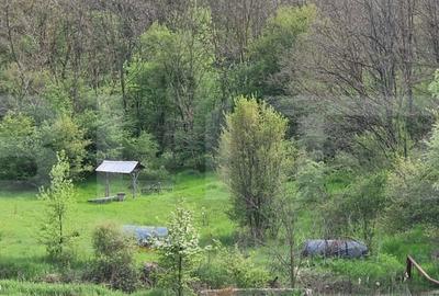 Teren de 120000 mp, în Brădești - 1