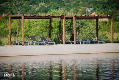 Teren de 40100 mp, în Cicârlău - 11