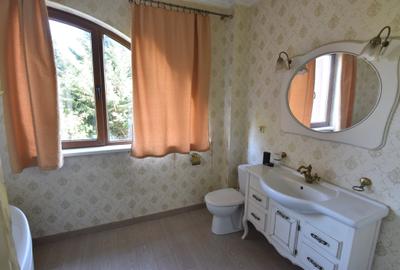 Casa / Vila P+1+M, zona Prelungirea, Ghencea, Maracineni - 12